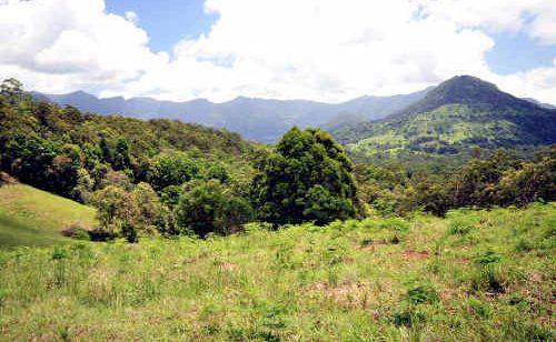 A unique 405-hectare property at Tyalgum, now on the market, has been hailed as ideal for developers. A unique 405-hectare property at Tyalgum, now on the market, has been hailed as ideal for developers.